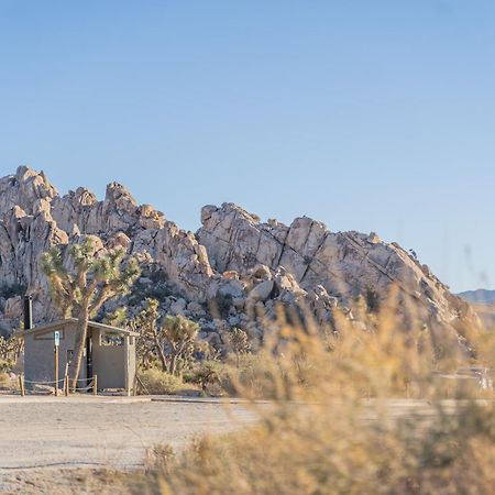 New Property! The Cactus Villas At Joshua Tree National Park - Pool, Hot Tub, Outdoor Shower, Fire Pit Туентінайн-Палмс Екстер'єр фото
